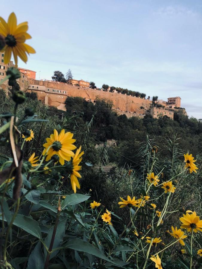 דירות פיטיליאנו Il Girasole Storico מראה חיצוני תמונה